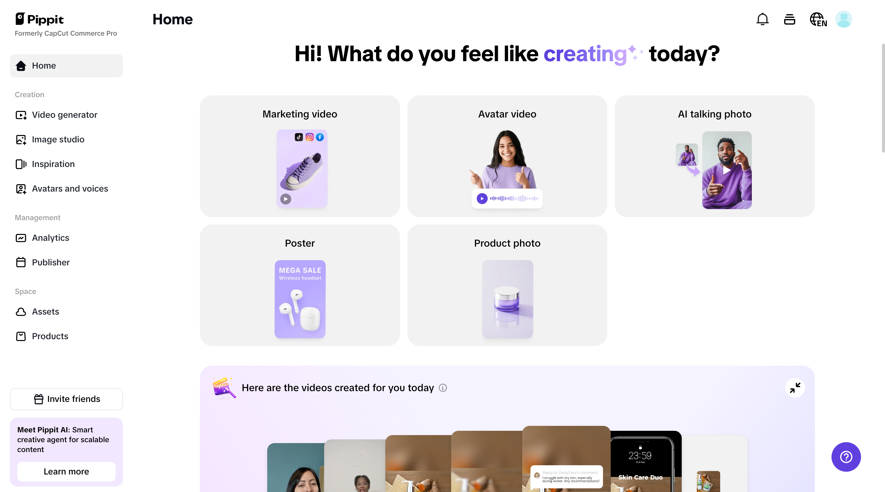 Pippit homepage