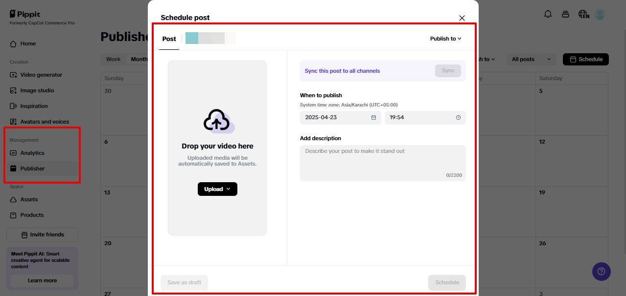 Pippit publisher and analytics