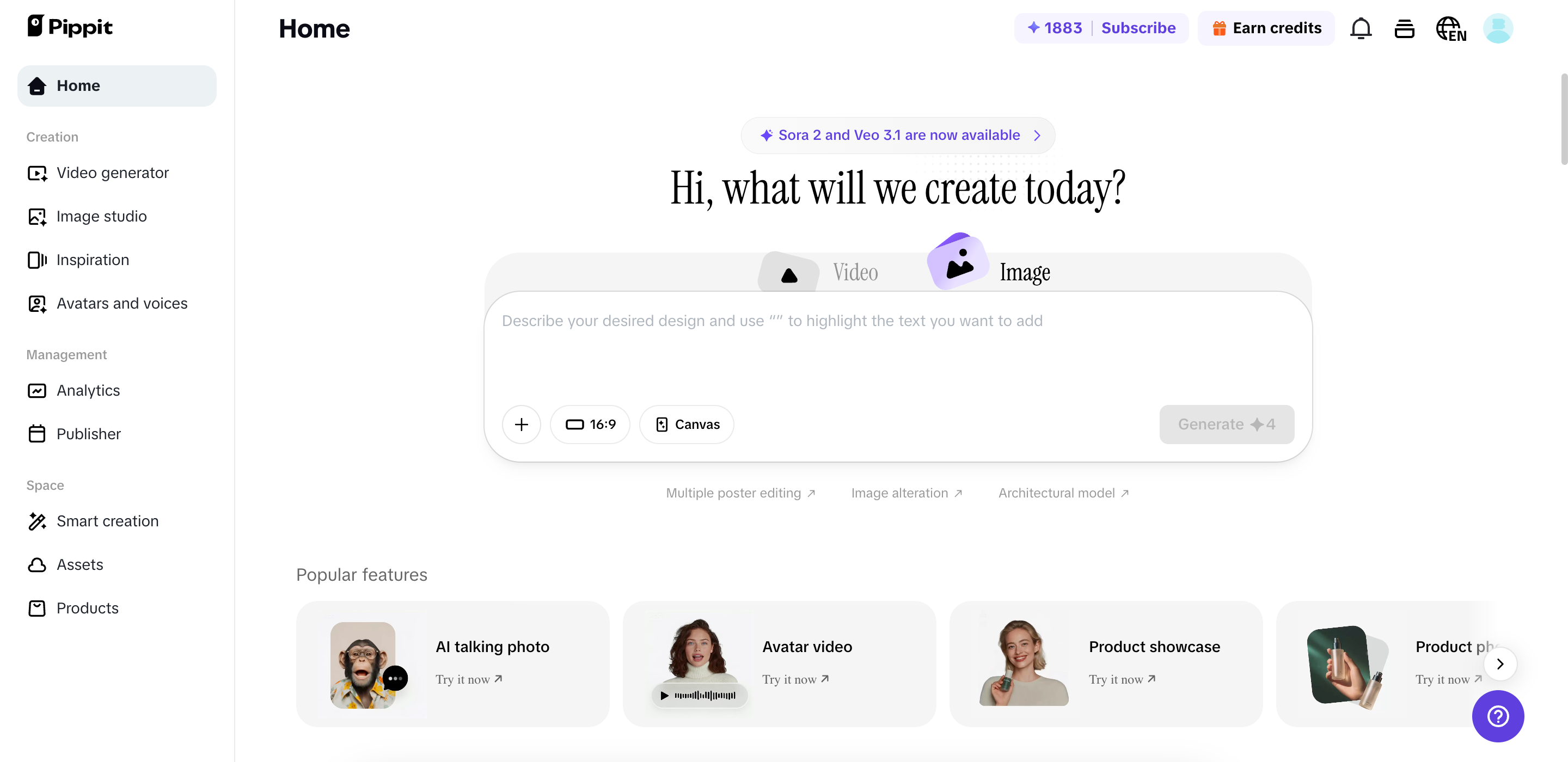 Pippit interface