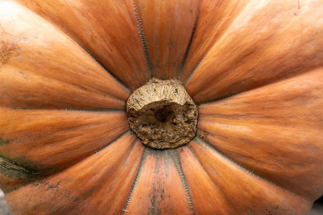 Pumpkin carving close-up