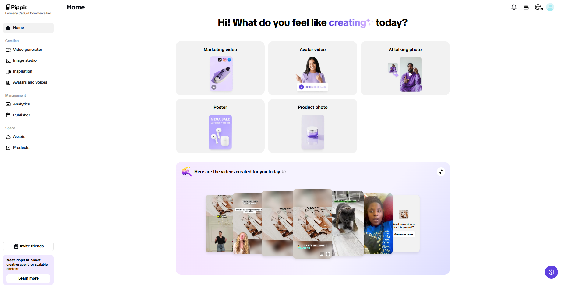 Pippit interface