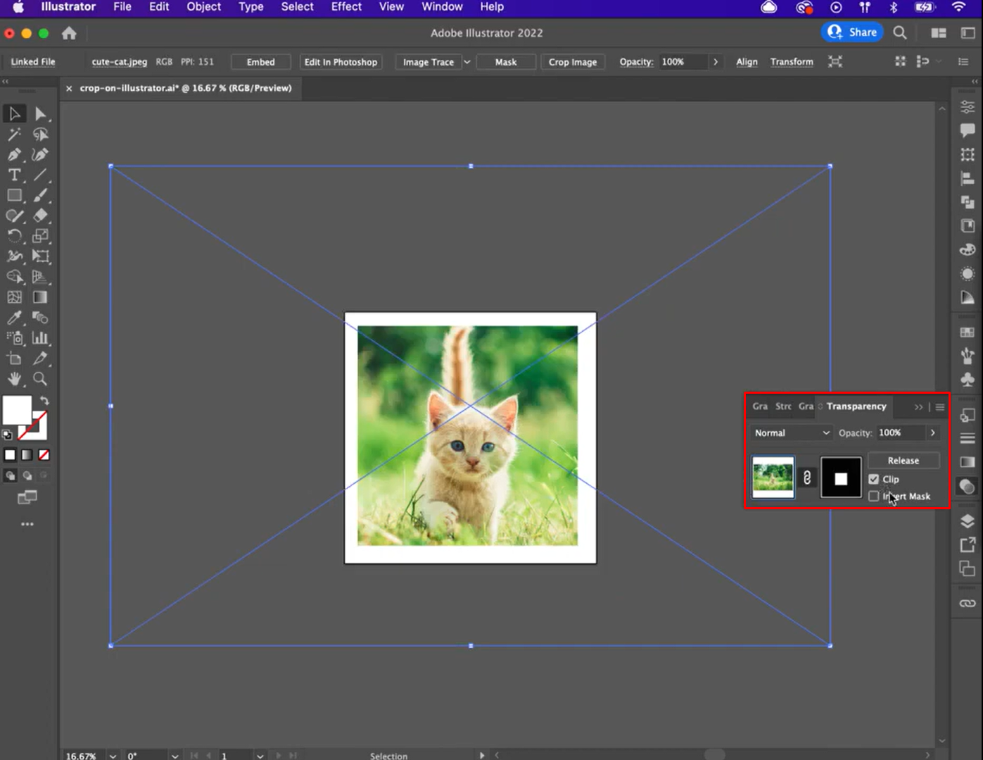Showing how to crop images in Illustrator using Opacity Mask