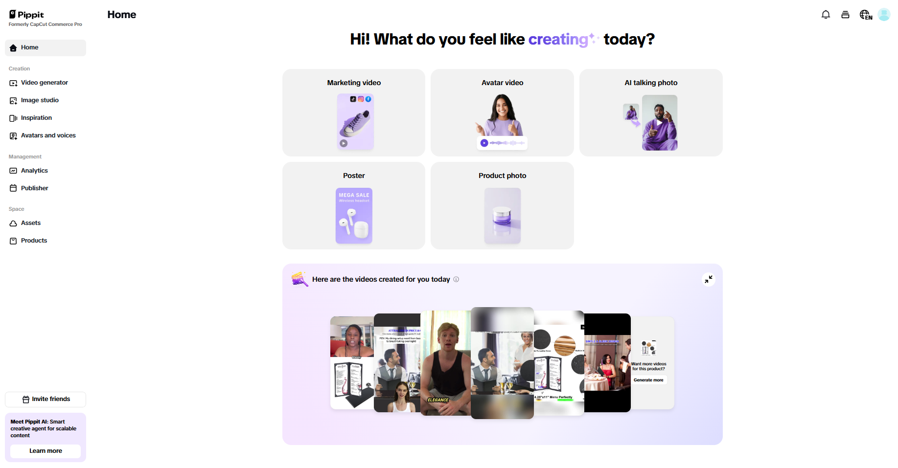 Pippit interface