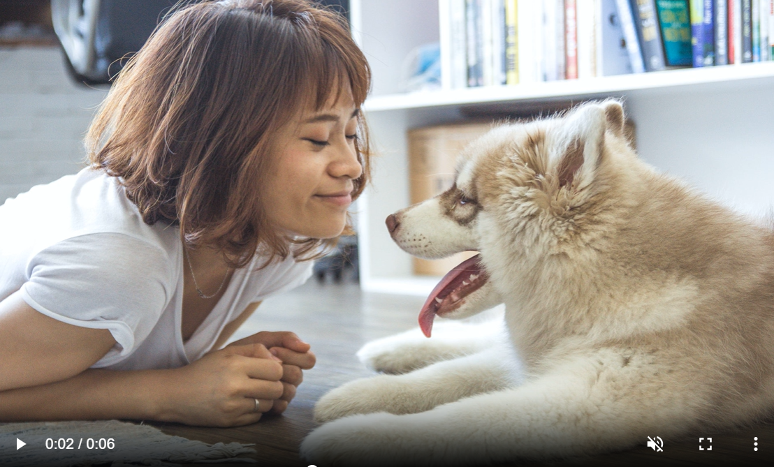 Execute o comando FFmpeg para combinar imagens em vídeo