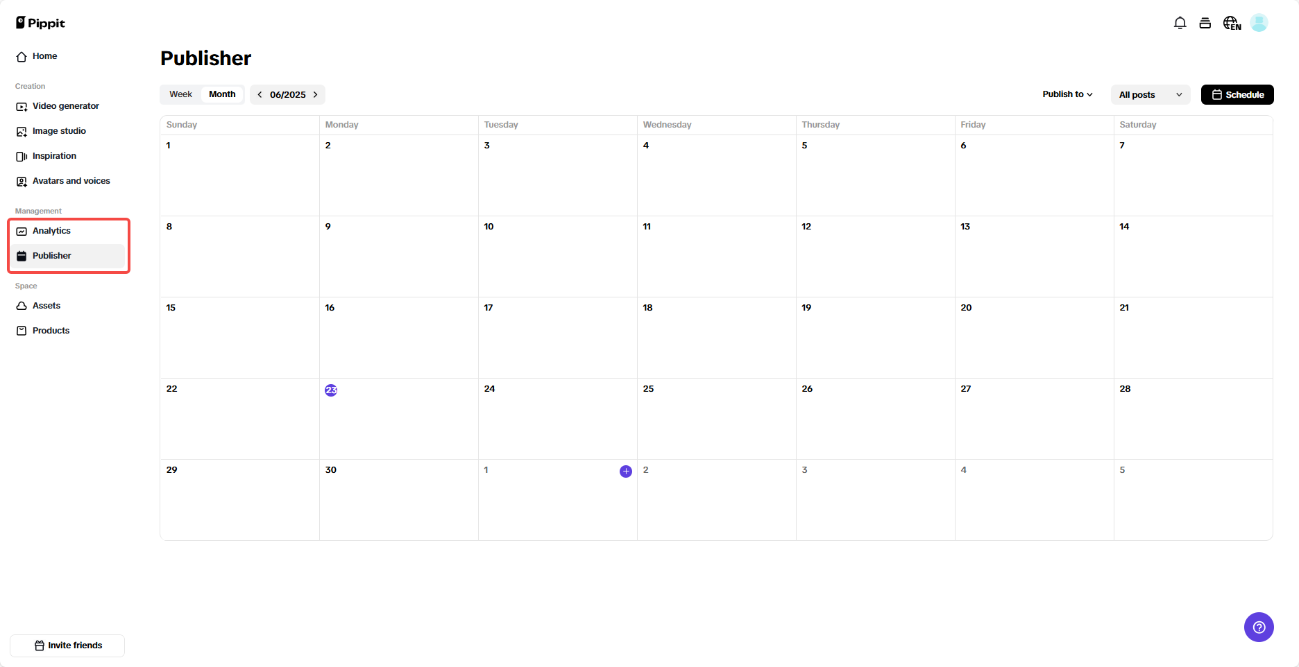 Pippit publisher and analytics