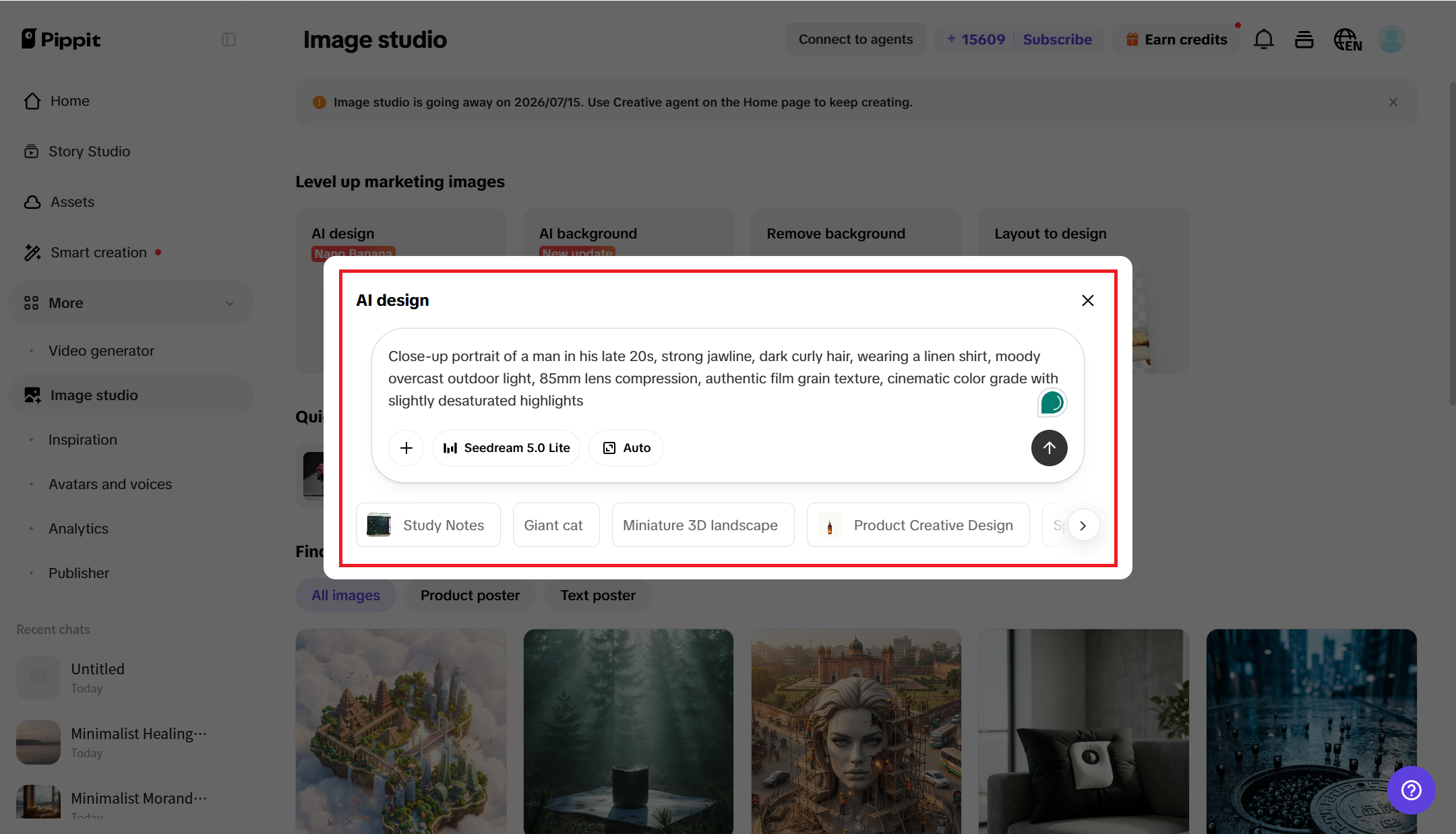 Provide your prompt