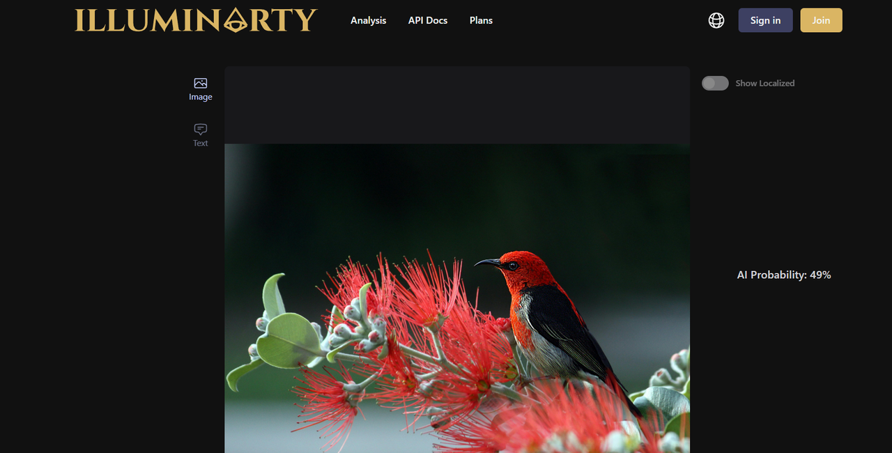 Illuminarty's interface