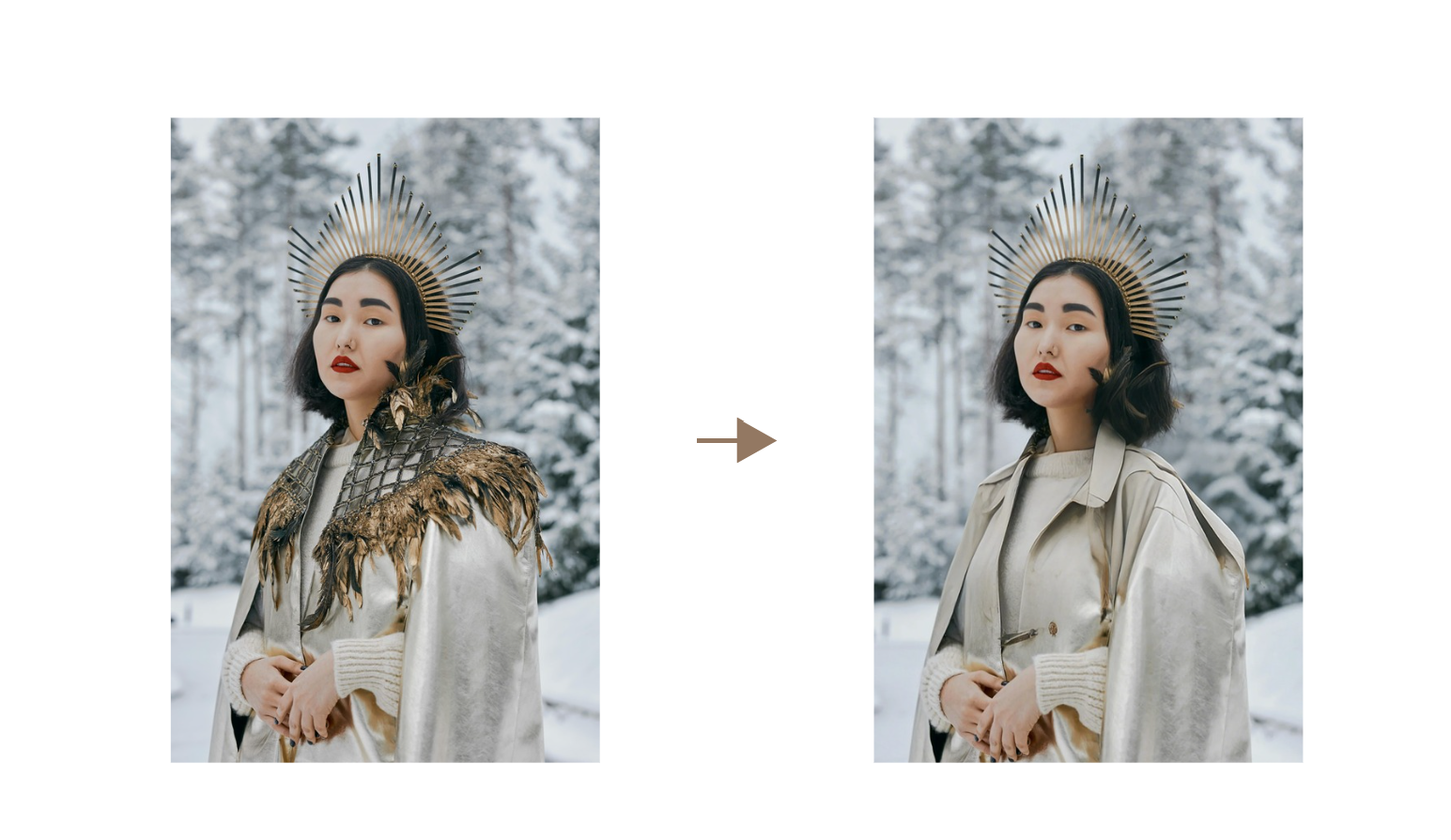 Dreamina sihirli temizleyici