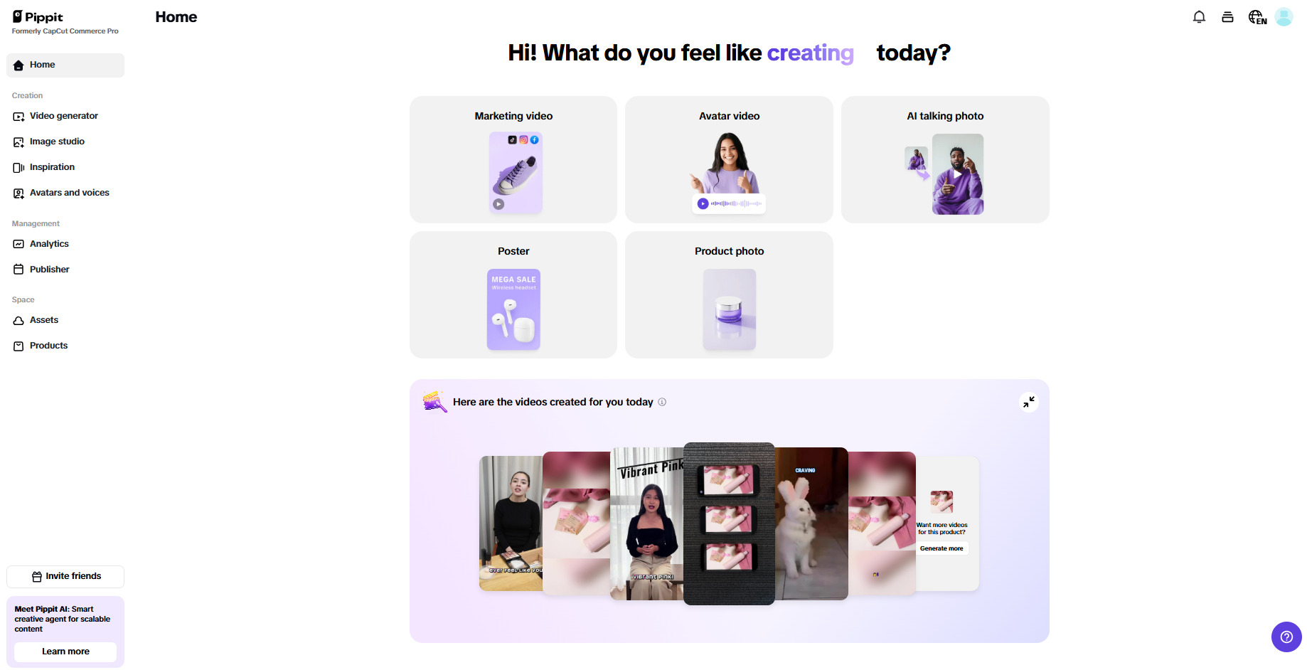 Pippit interface