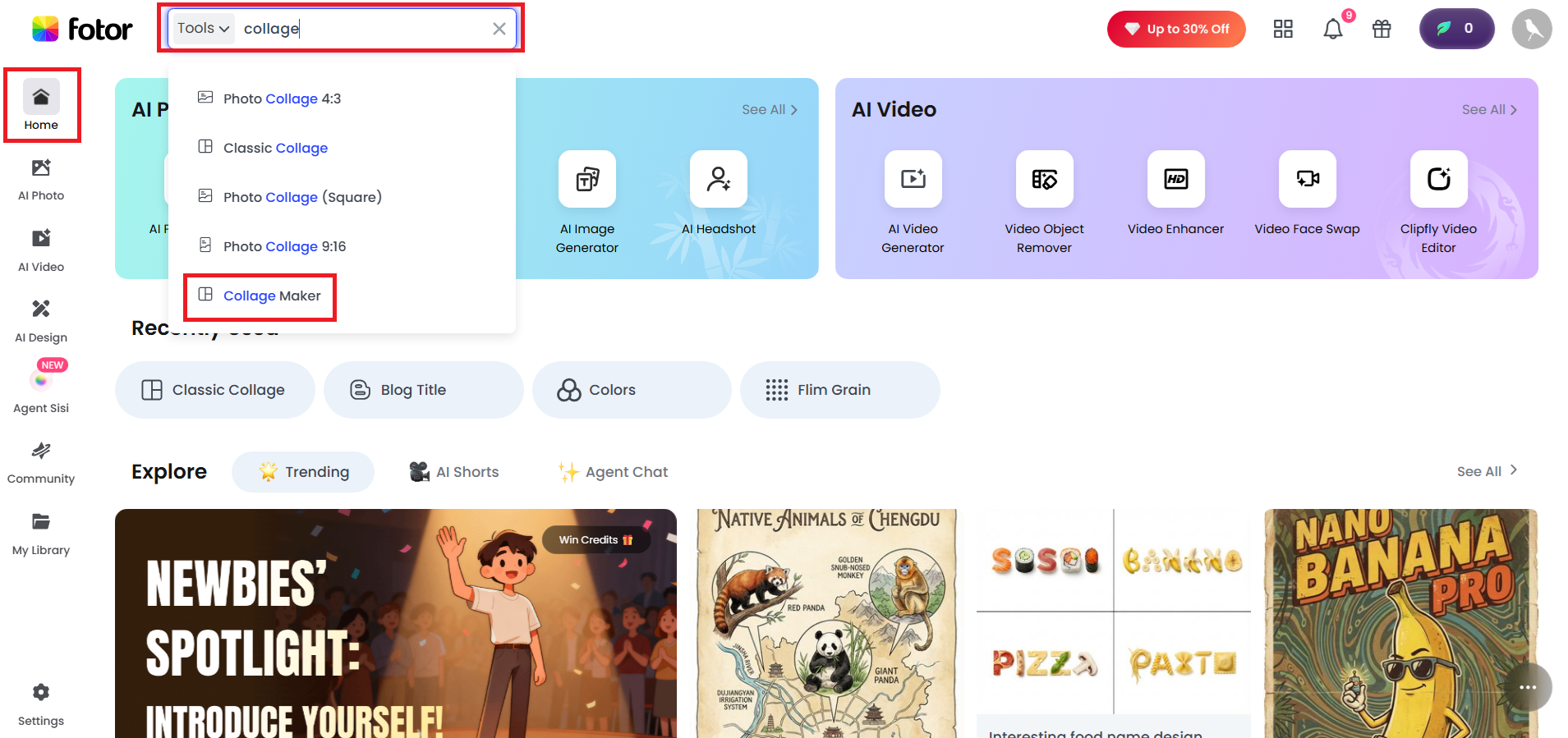 Go to Fotor and open the collage maker