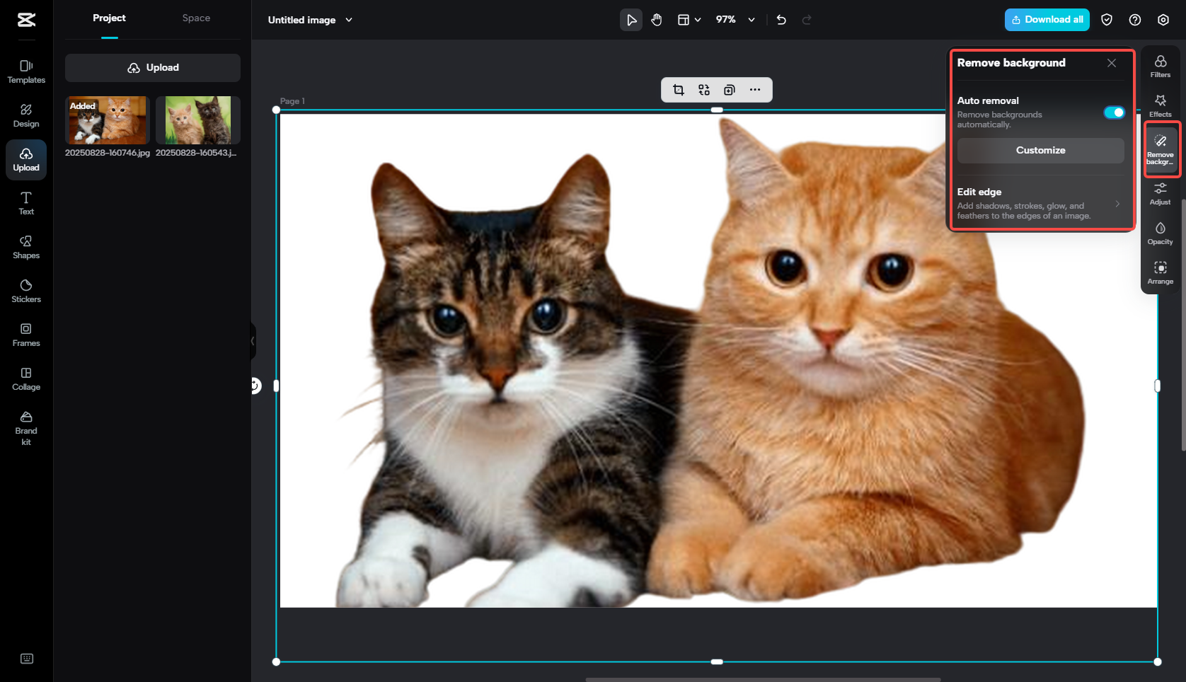 Applica il rimuovi sfondo AI di CapCut
