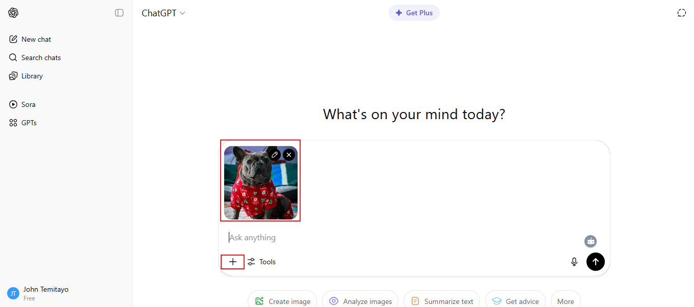 chatgpt turn pet into human