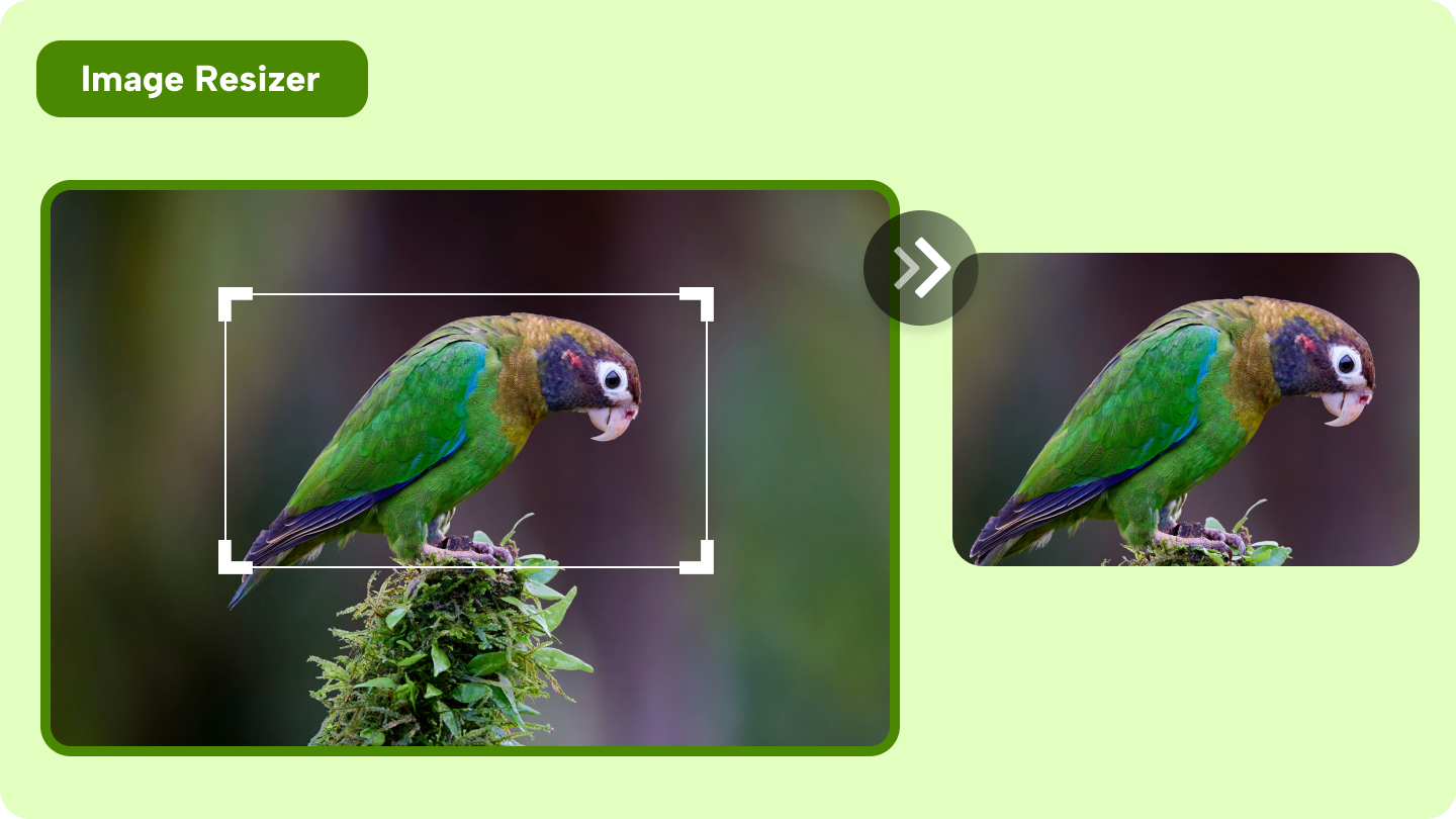 image resizer
