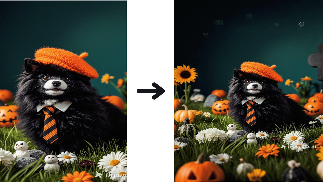 Magic image expender