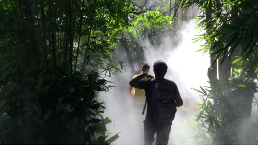 Efect natural de ceață