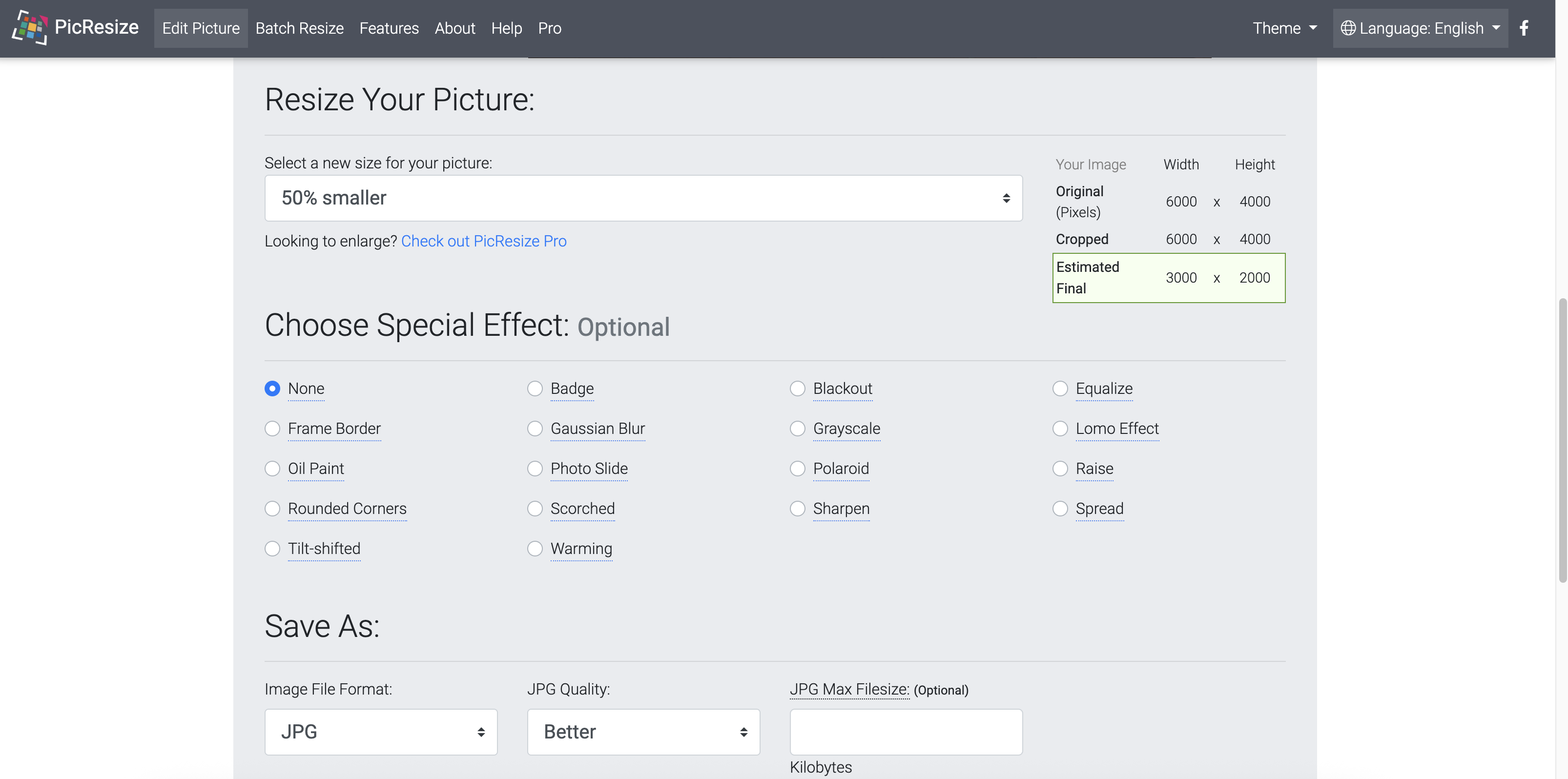 Choose the resize setting