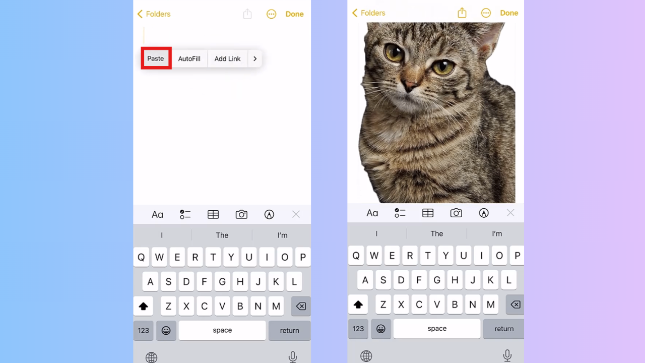 Paste into anotherapp and save