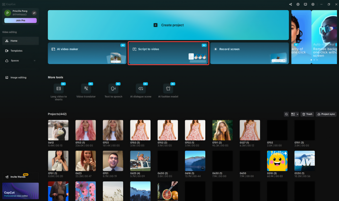 Applica la funzione script in video in CapCut