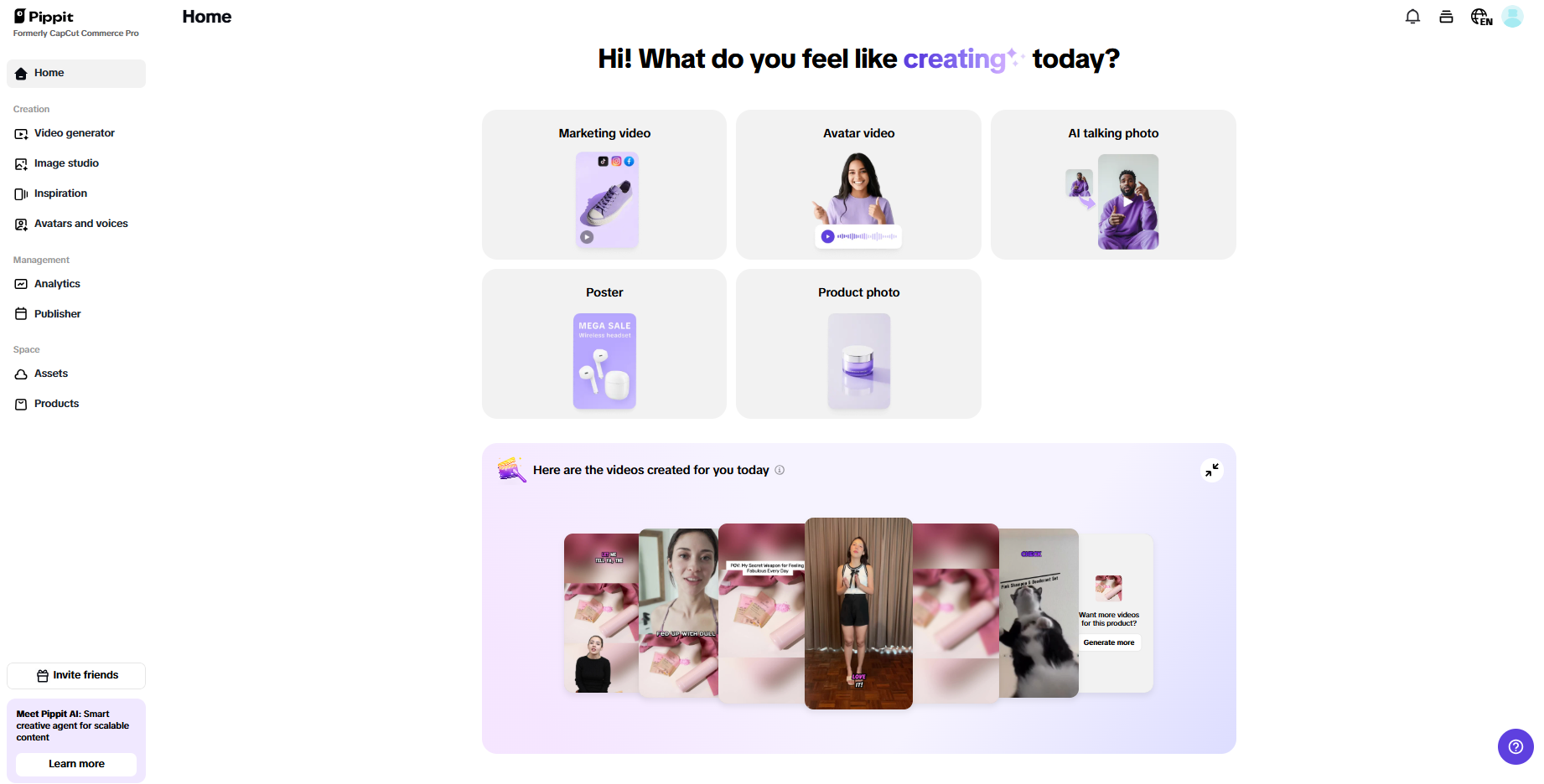 Pippit interface
