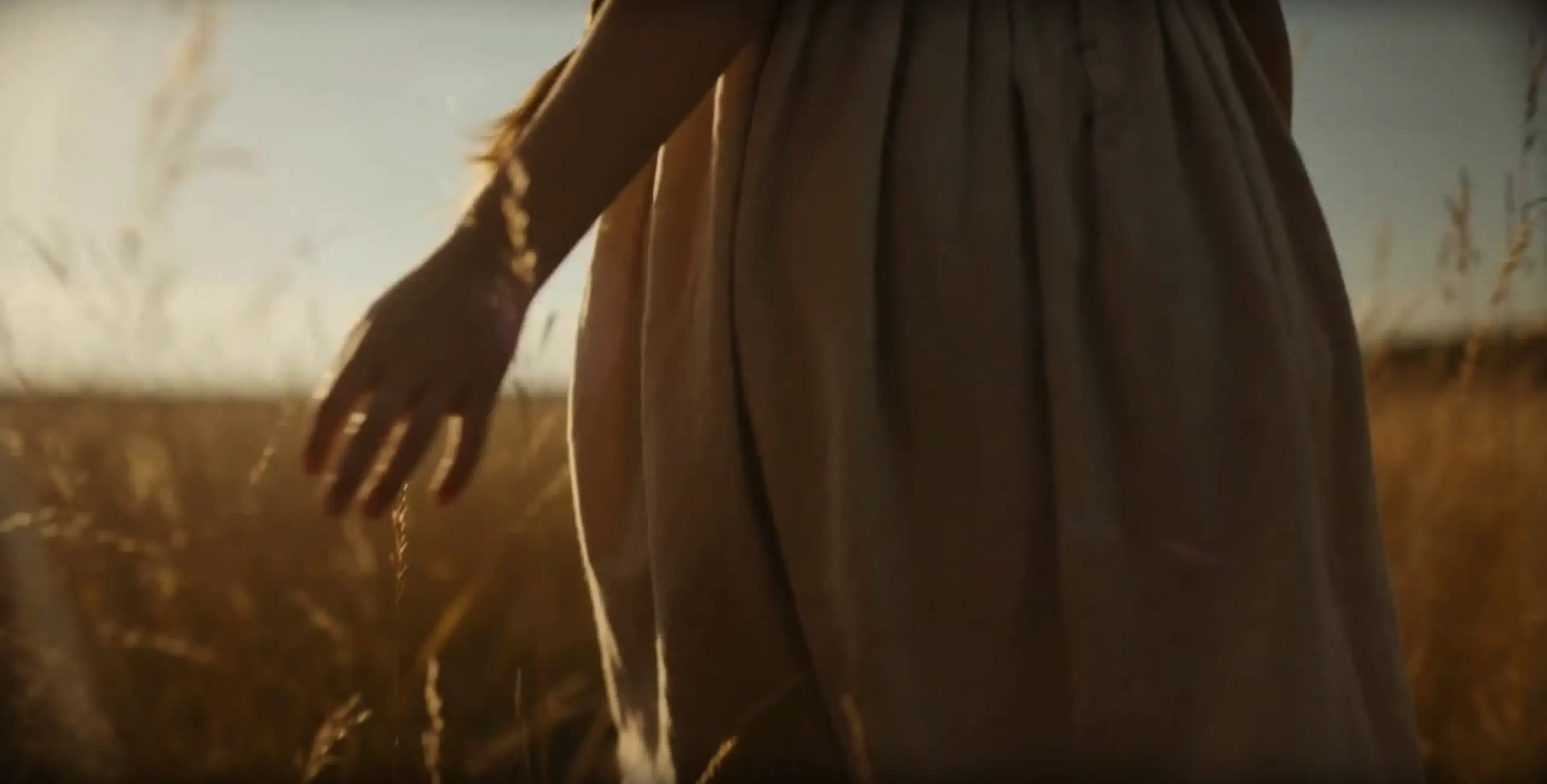 director-style-video-prompt