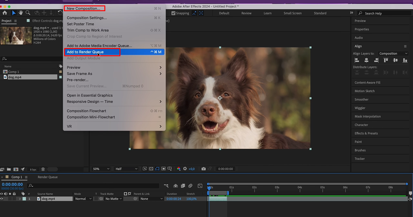 Setting composition to export as PNG sequence