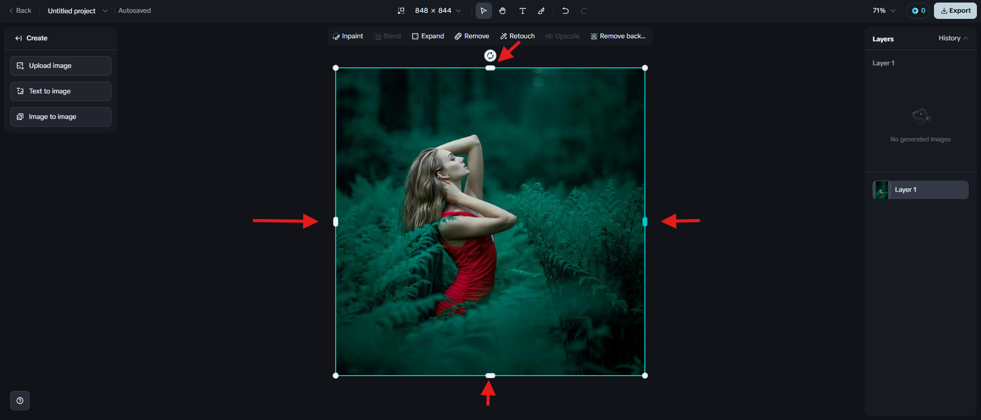 Adjust the image manually