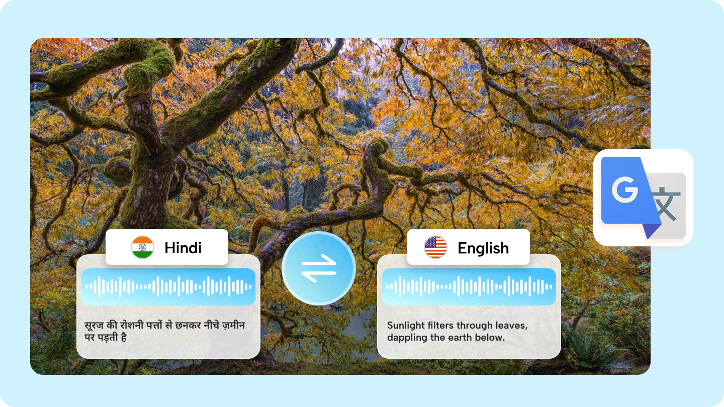google translate hindi to english