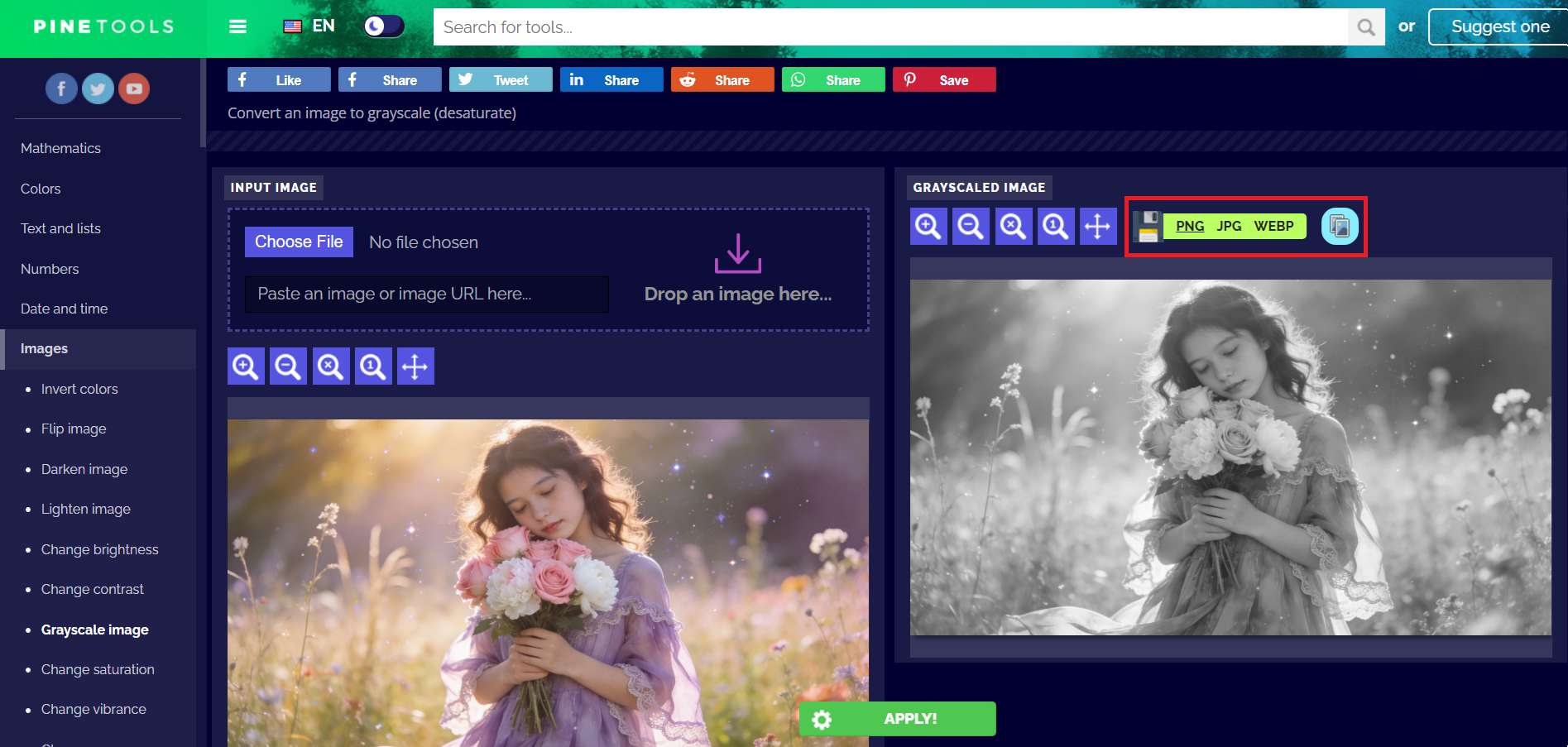 Baixe ou copie a imagem em tons de cinza