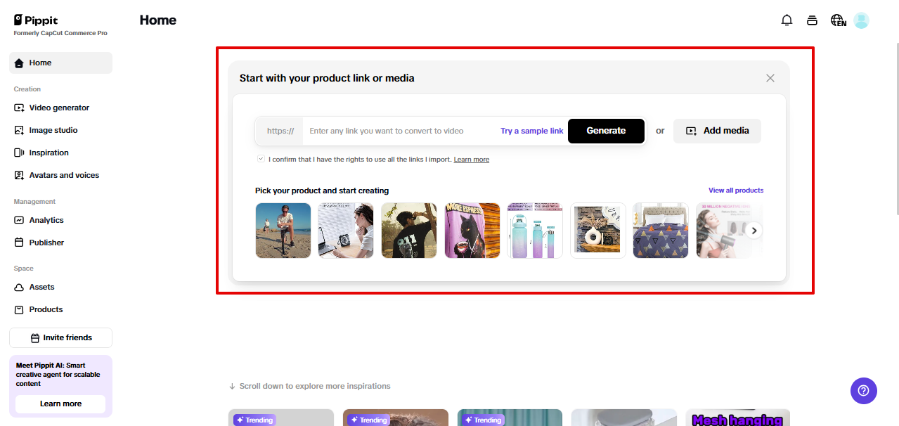 Solusyon sa video sa Pippit