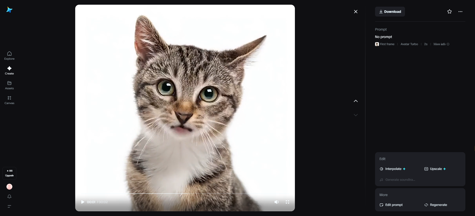 Wise old cat advisor