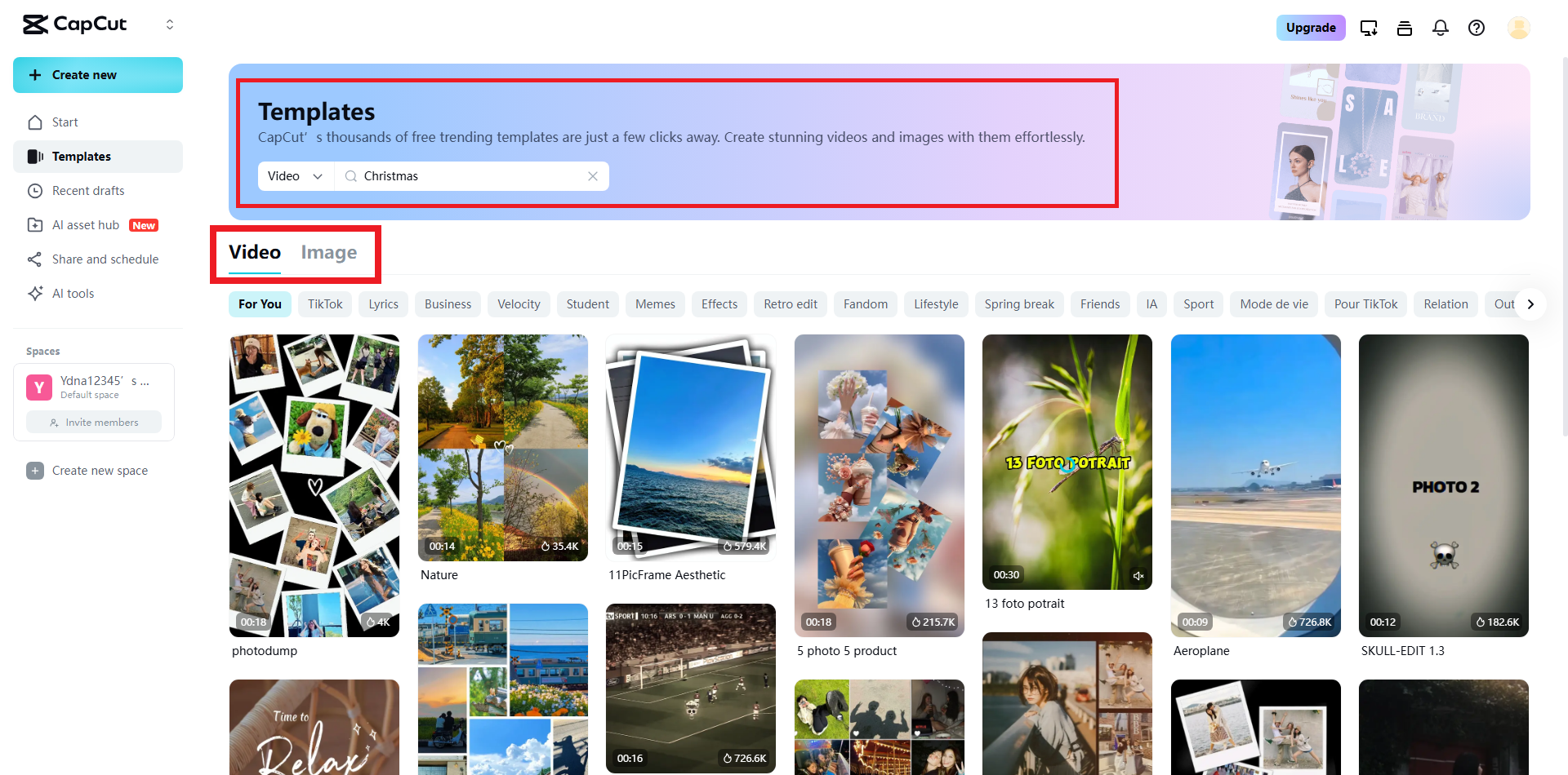 Search for your desired templates