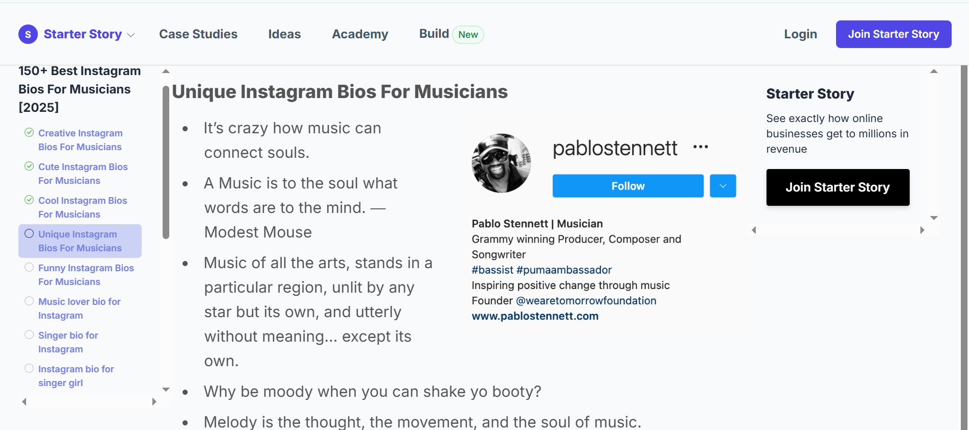 Starter Story dengan bio musisi untuk Instagram