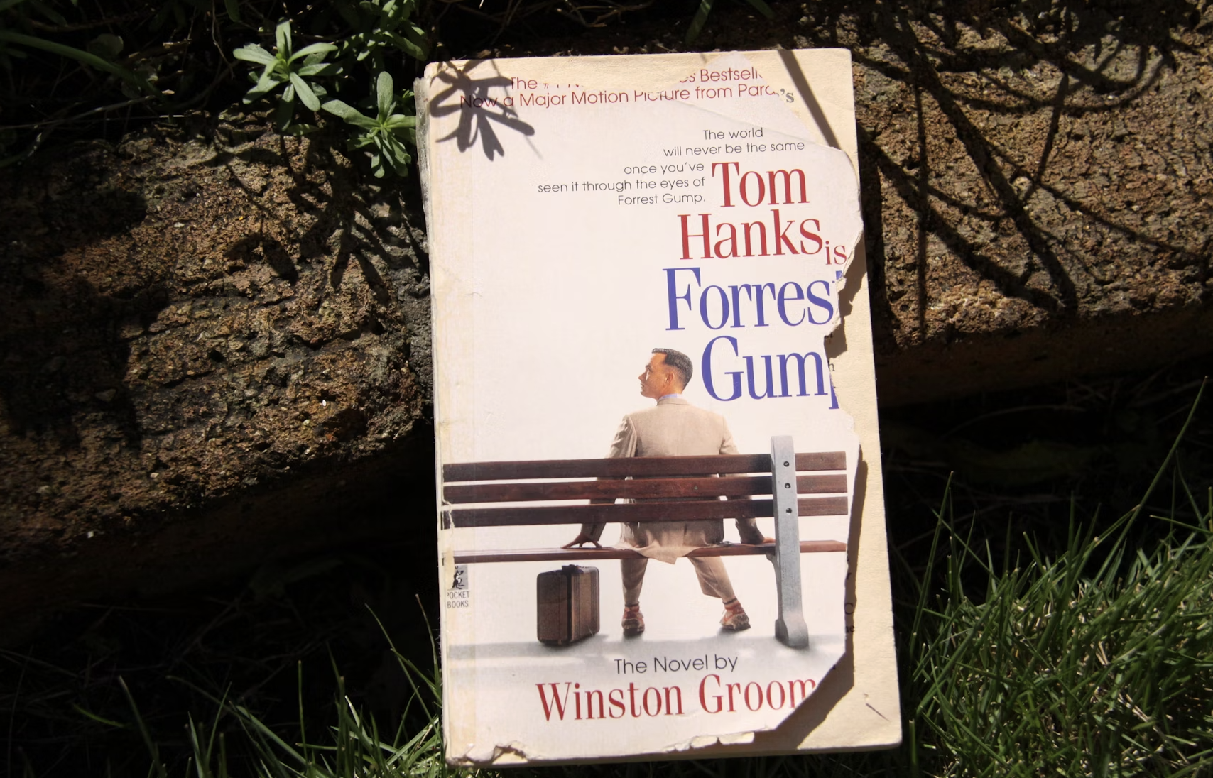 A person sitting on a park bench, holding an open box of chocolates.