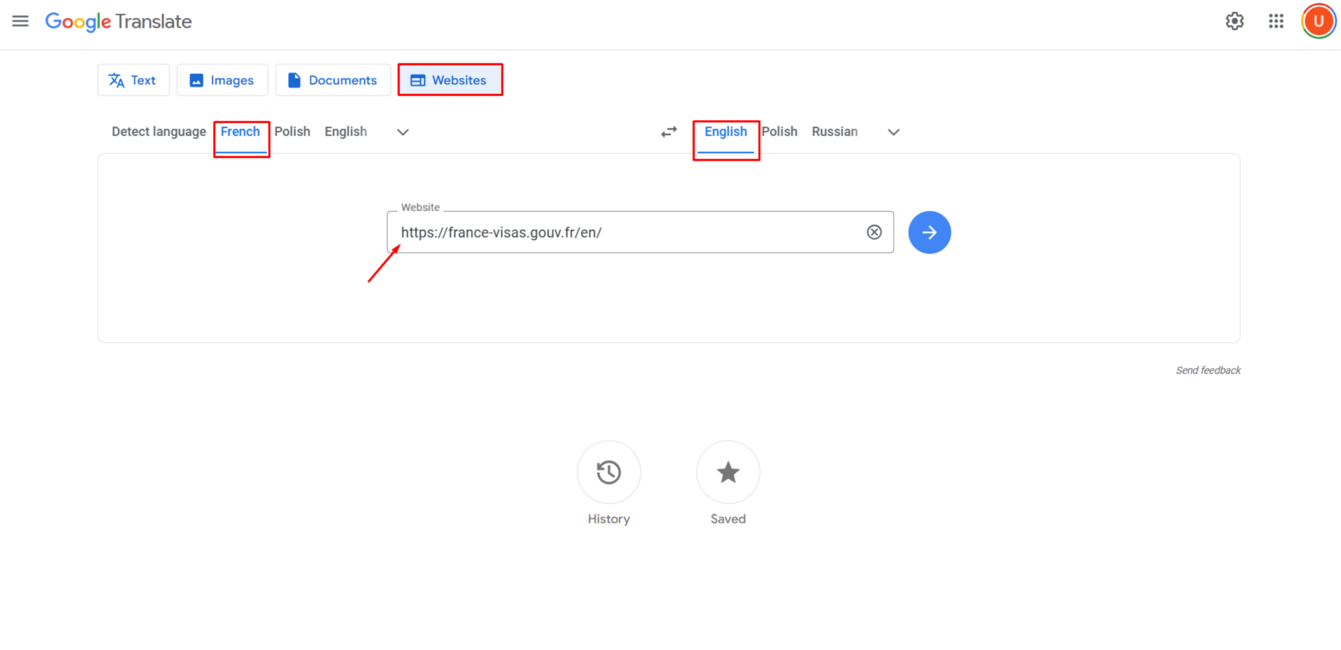 Translating a French website to English with Google Translate