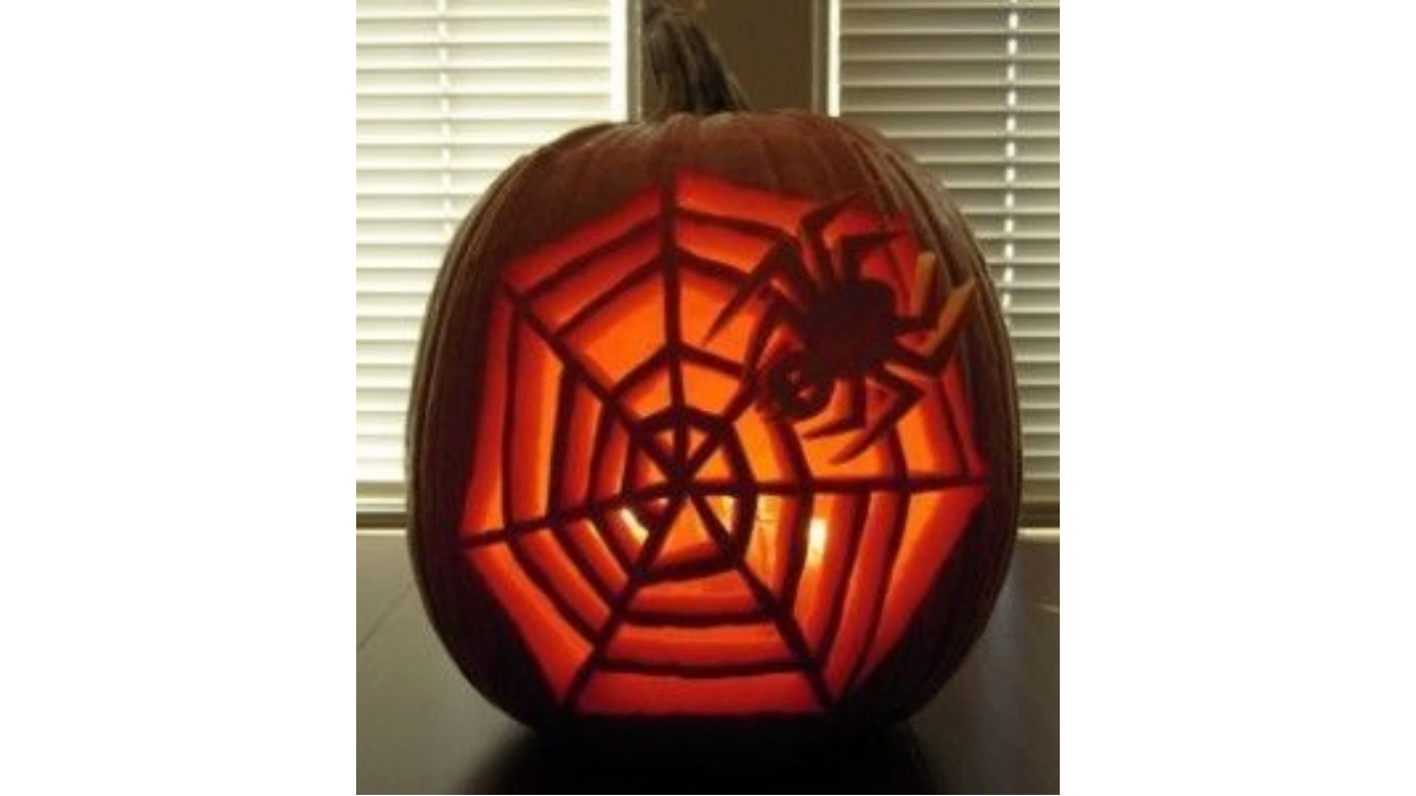 Spider with a web pumpkin design