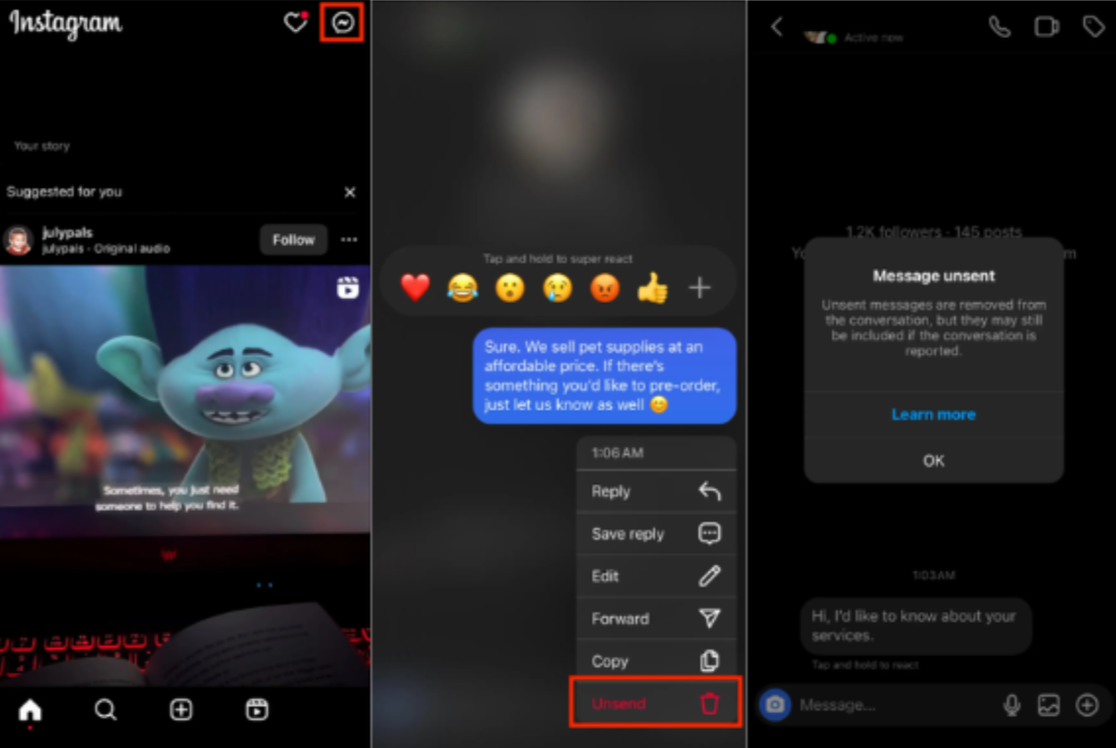 Deleting Instagram messages on both sides