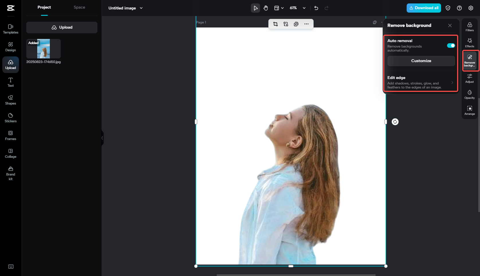 Remove the image background
