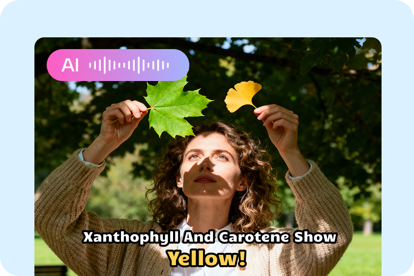 Create informative content using AI video templates