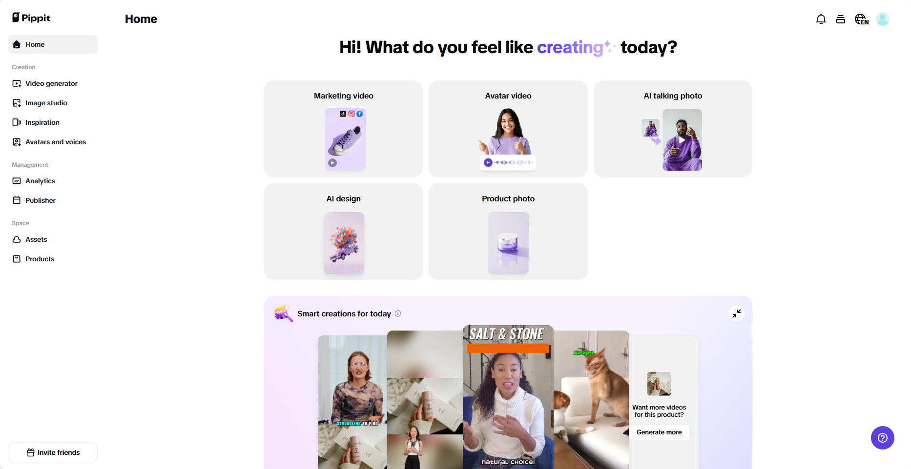 Pippit interface
