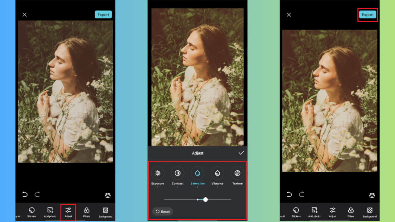 Export and share image