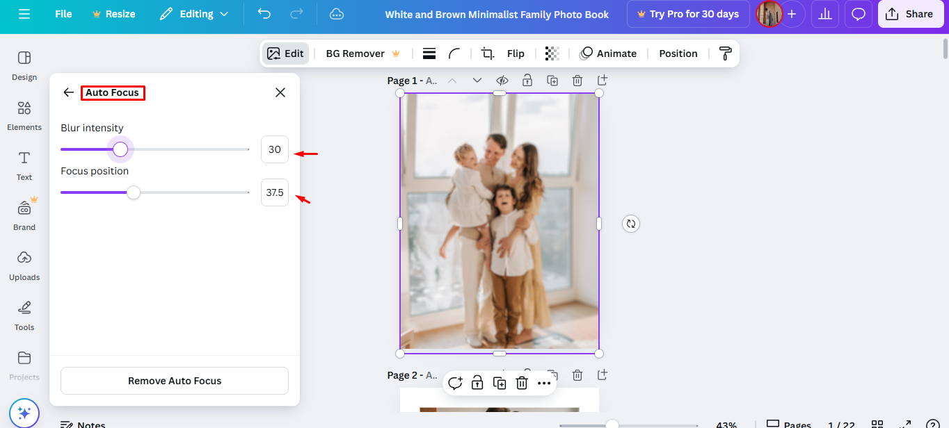 Using the auto focus tool in Canva to blur a photo