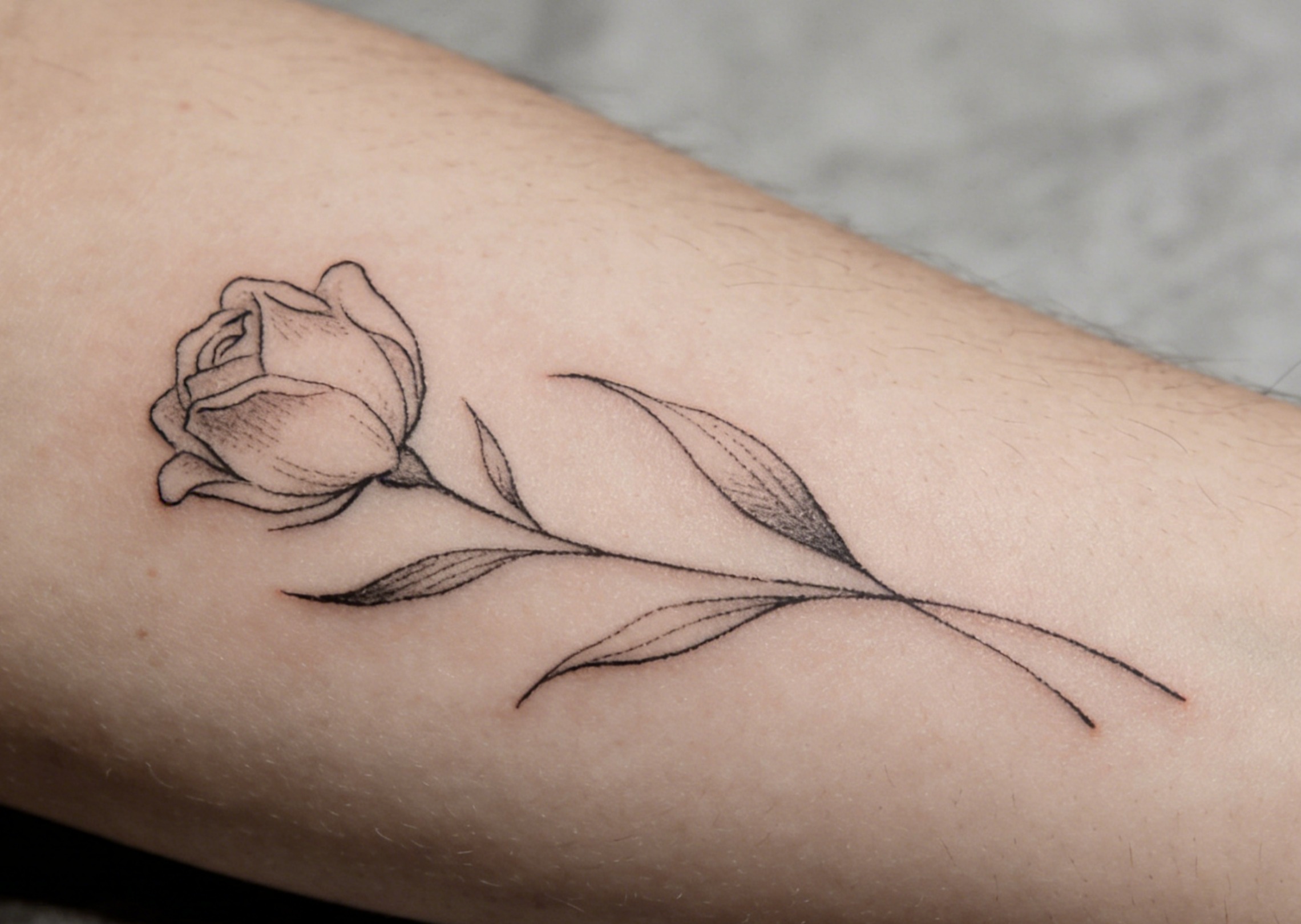 Generate a fine line tattoo design with delicate details and minimal shading