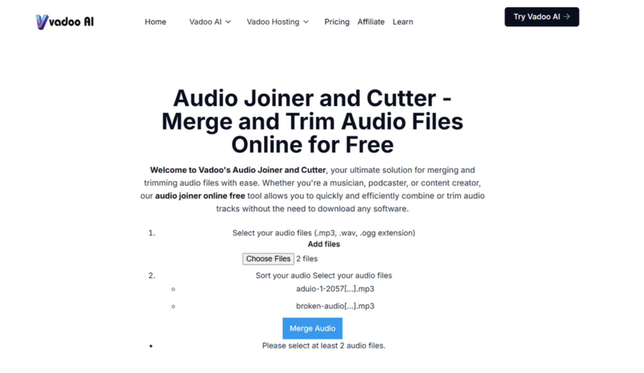 Interfaccia di Vadoo AI - un'unione MP3 online facile da usare