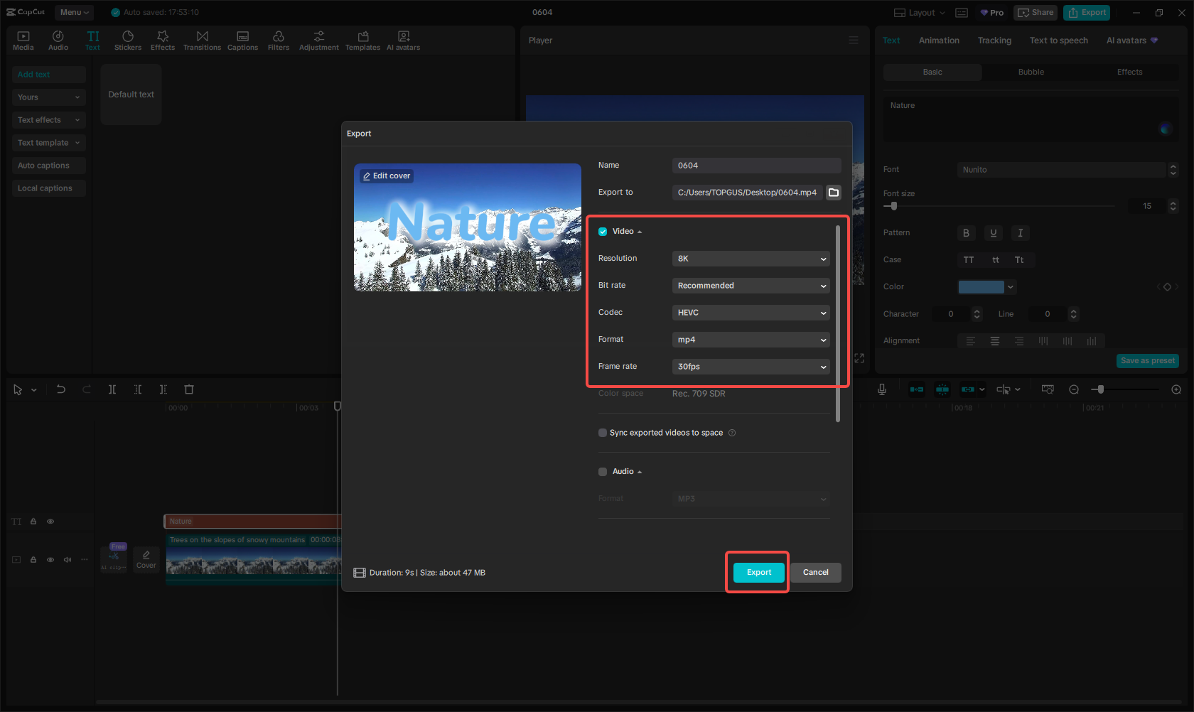das Video exportieren
