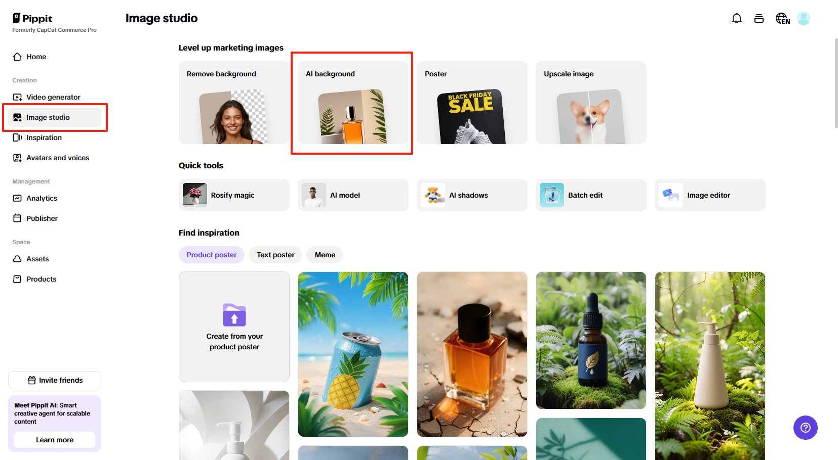 image studio sa Pippit