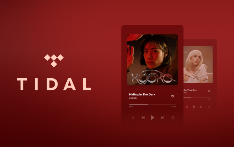 Summary of yearly music trends in Tidal Wrapped