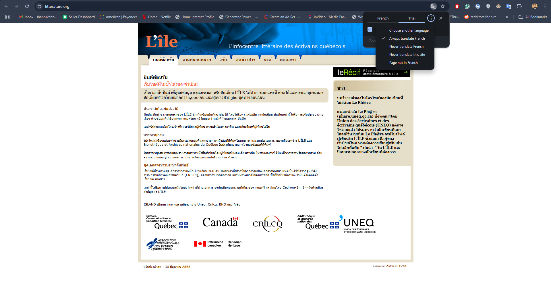 Google auto webpage translation