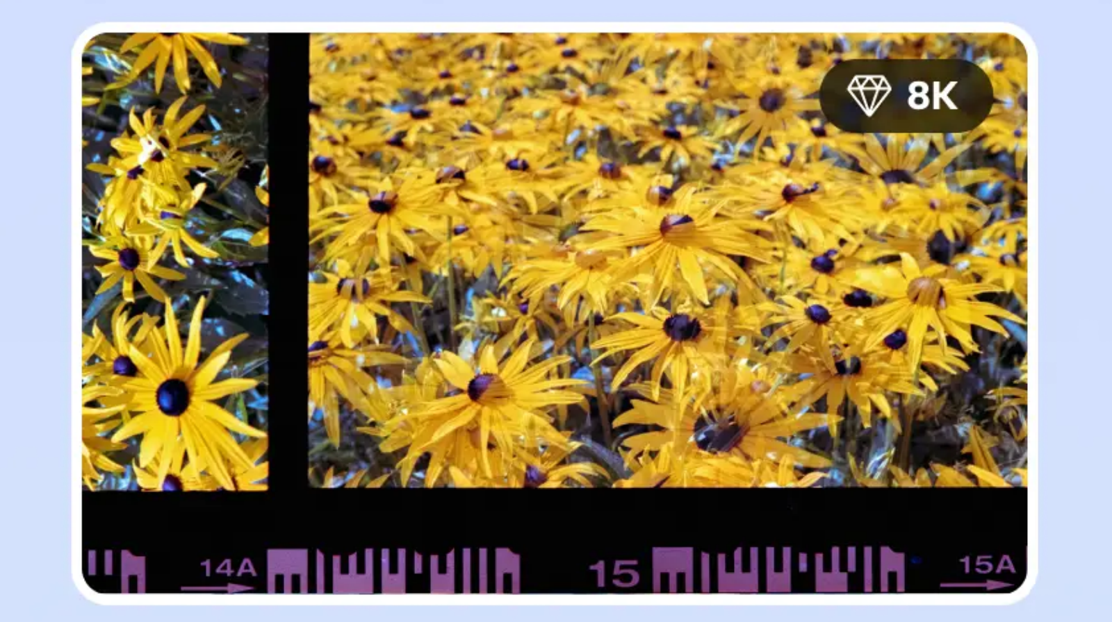 Imagens únicas, mesmo sem experiência em design