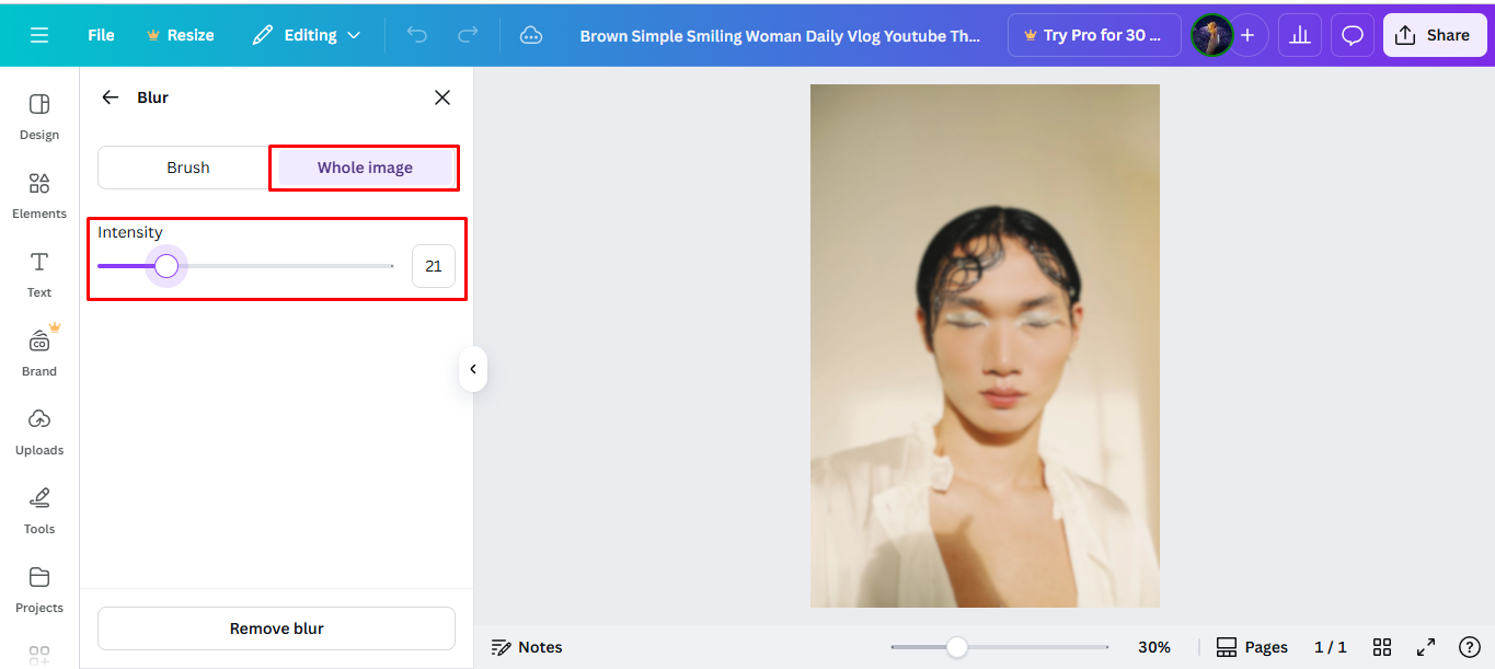 Adjust the canvas photo blur