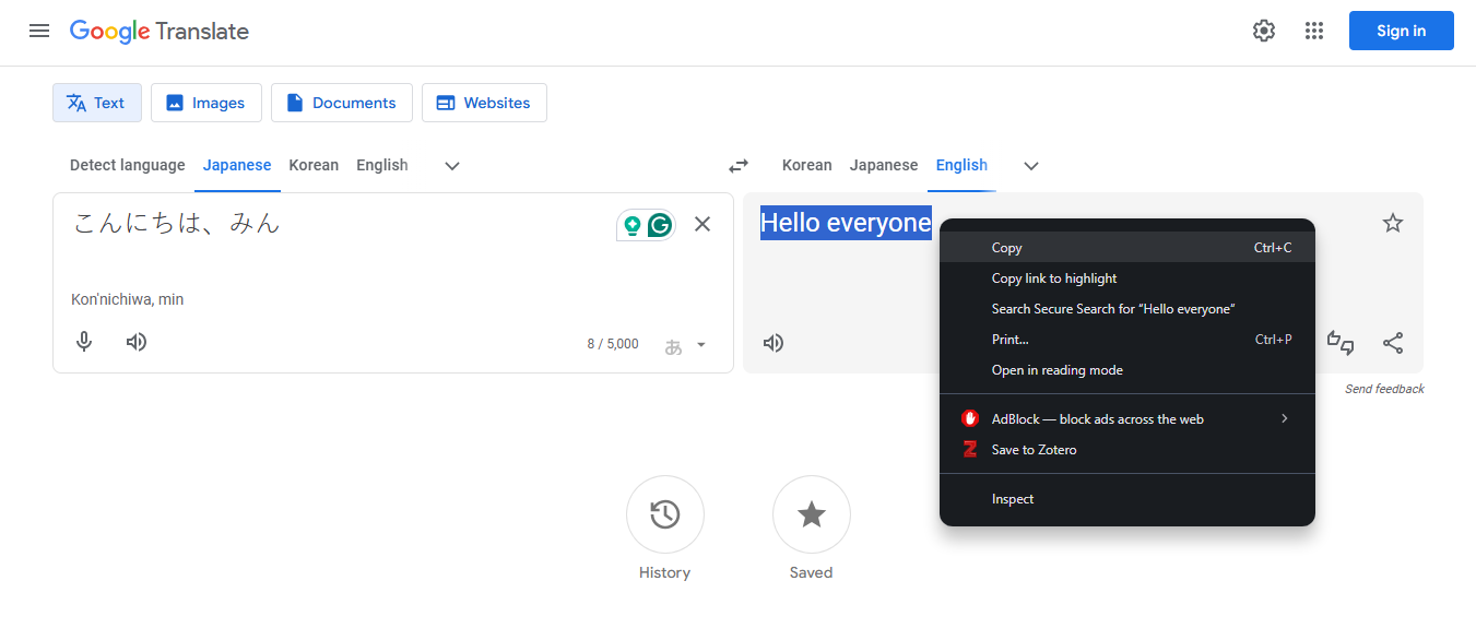 Copy the English translation text